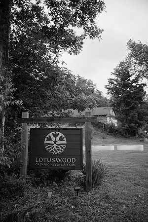 0051_LotusMarketing2