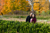 _D803294Clr