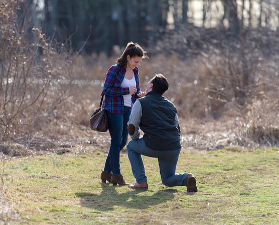 0081_Proposalcolor
