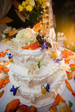 1733_BriannaTomWed