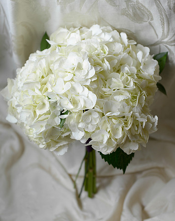 0002_LisaDanWed