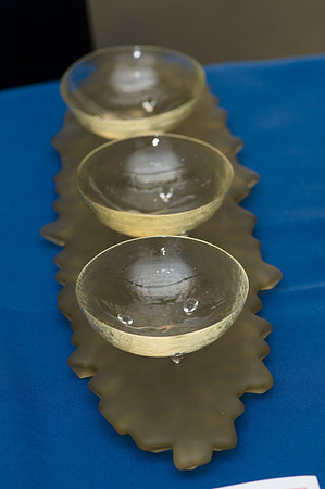 0028_2013Gala