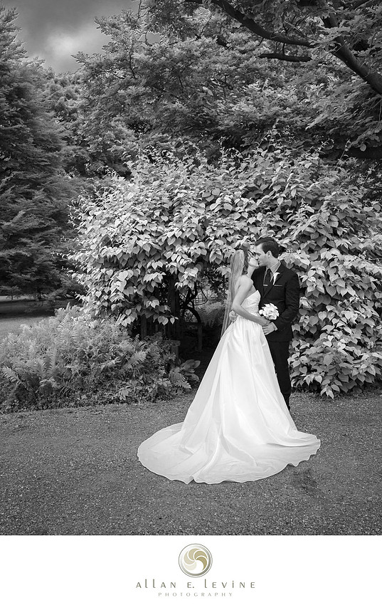 Jessica and John dreamy