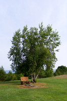 0027_GarTaraWed