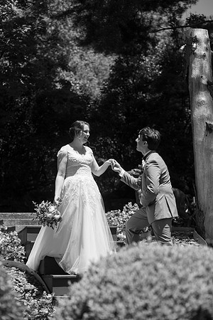 0555_SarDerWed