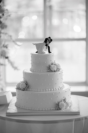 1876_CristenDanWed