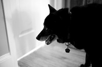 0019_TerMikeWed