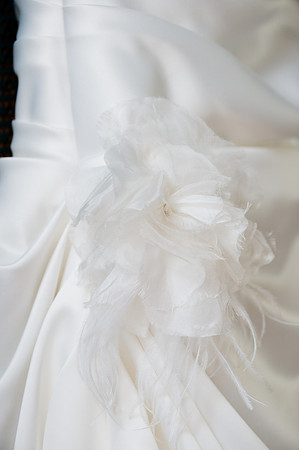 Wedding Dress Detail
