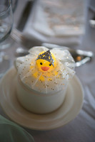 0669_TerMikeWed
