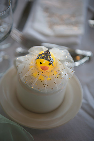 0669_TerMikeWed