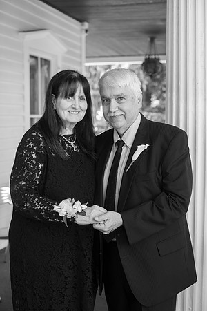0197_SarDerWed
