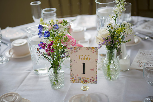 0673_TerMikeWed