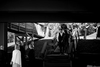 0824_AshAntWed