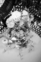 0005_TerMikeWed