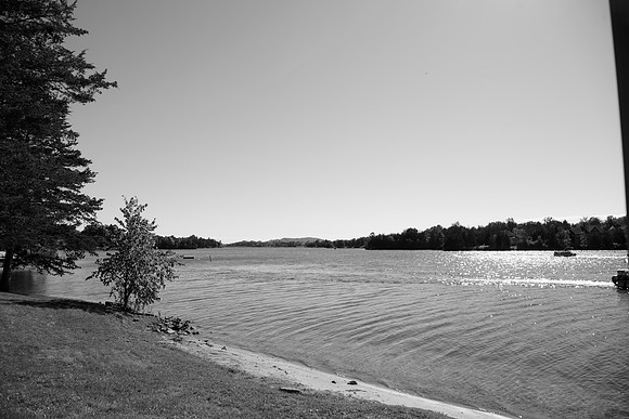 0843_AshAntWed