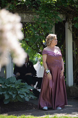 0981_SarDerWed