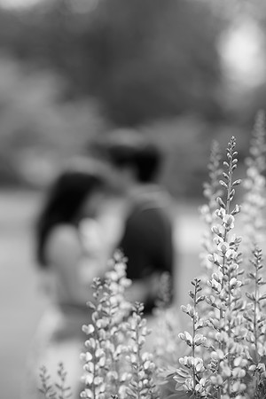 0098_HazelJhonEng