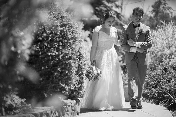 0582_SarDerWed