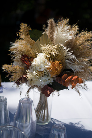 1231_SarDerWed