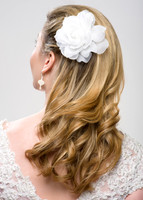 Hair and Beauty