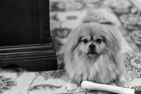 0018_ElizabethShaneWed-1
