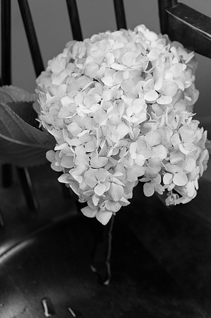 0096_ElizabethShaneWed-1