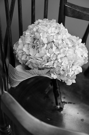0099_ElizabethShaneWed-1