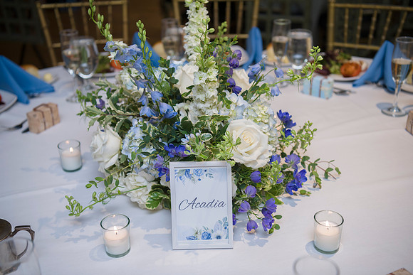 1325_SarDerWed