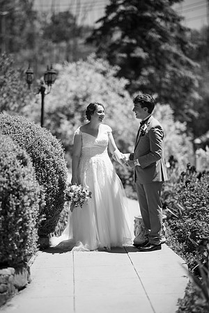 0573_SarDerWed