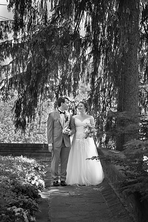 0491_SarDerWed