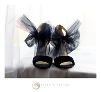 Lisa Chris - Grand Cascades Lodge - Emerald Ballroom