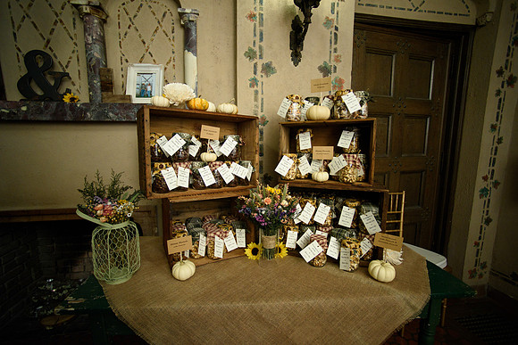 1193_AlexLaurenWed