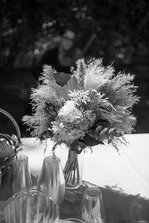 1232_SarDerWed