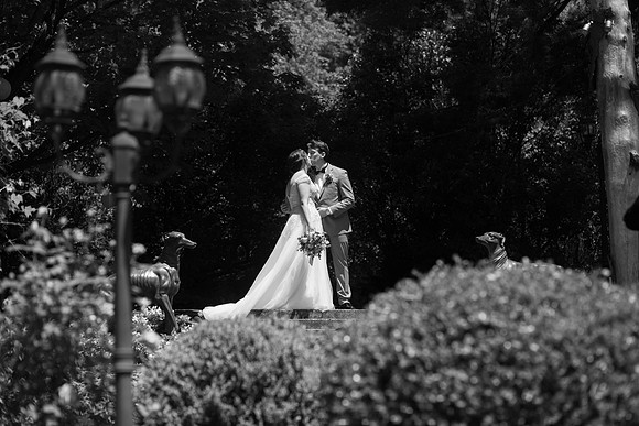 0553_SarDerWed