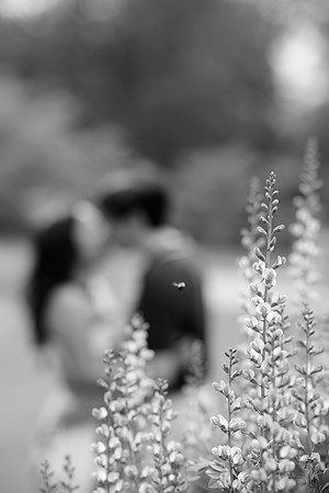 0097_HazelJhonEng