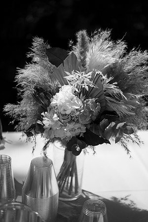 1231_SarDerWed