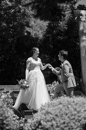 0556_SarDerWed