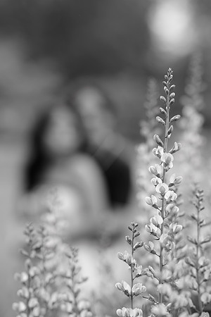 0094_HazelJhonEng