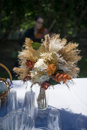 1232_SarDerWed