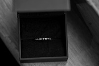 0005_SarDerWed