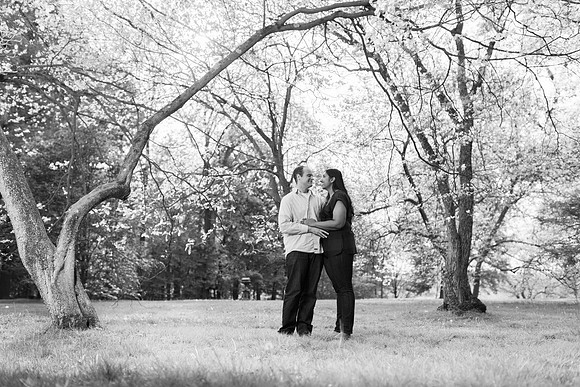 Engagement Locust Grove Poughkeepsie