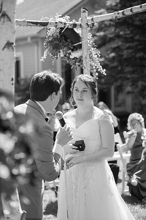 1173_SarDerWed