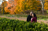 _D803295Clr