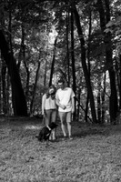 0016_AntLIndEng
