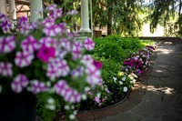 0311_SarDerWed