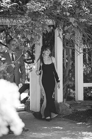0945_SarDerWed