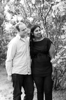 Engagement Locust Grove Poughkeepsie