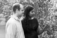Engagement Locust Grove Poughkeepsie