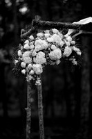 0012_LotusMarketing2
