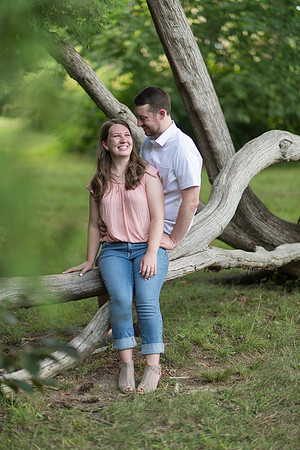 0133_AntLIndEng